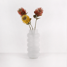 Cargar imagen en el visor de la galería, Protea Amarilla