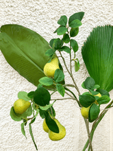 Cargar imagen en el visor de la galería, 123314,00