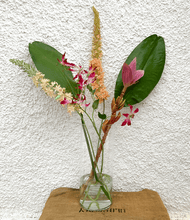 Cargar imagen en el visor de la galería, 123856,00