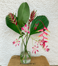 Cargar imagen en el visor de la galería, 123992,00a