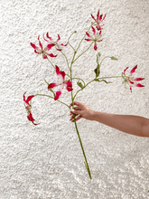 Cargar imagen en el visor de la galería, 123992,00c