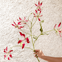 Cargar imagen en el visor de la galería, 123992,00d