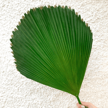 Cargar imagen en el visor de la galería, 124471,00