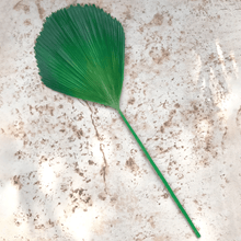 Cargar imagen en el visor de la galería, 124471,00a