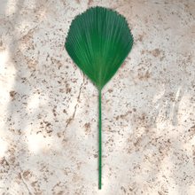 Cargar imagen en el visor de la galería, 124471,00b