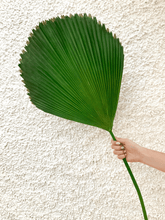 Cargar imagen en el visor de la galería, 124471,01