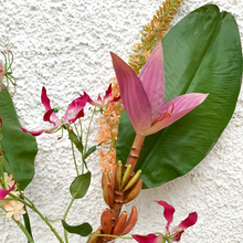 Cargar imagen en el visor de la galería, 125243,00b