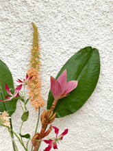 Cargar imagen en el visor de la galería, 125243,00d