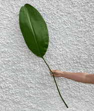 Cargar imagen en el visor de la galería, 126690,00e