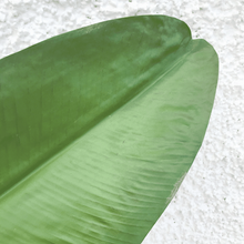 Cargar imagen en el visor de la galería, 126690,00g