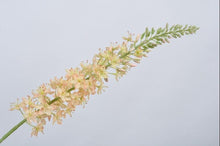 Cargar imagen en el visor de la galería, Eremurus Artificial