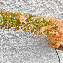 Cargar imagen en el visor de la galería, 126856,00a