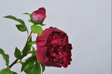 Cargar imagen en el visor de la galería, Peonías artificiales