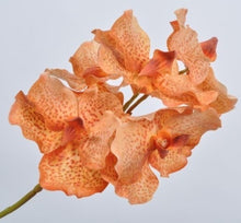 Cargar imagen en el visor de la galería, Orquídeas colombianas Hiperrealistas