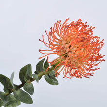 Cargar imagen en el visor de la galería, Proteas Artificiales