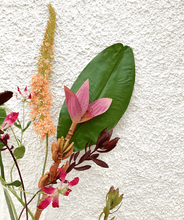 Cargar imagen en el visor de la galería, 130664,00