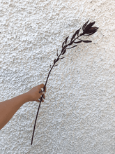 Cargar imagen en el visor de la galería, 130664,00b