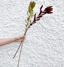 Cargar imagen en el visor de la galería, 130664,00c