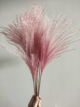 Cargar imagen en el visor de la galería, Ramo de Pampas Miscanthus Varios Colores