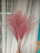 Cargar imagen en el visor de la galería, Ramo de Pampas Miscanthus Varios Colores
