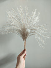 Cargar imagen en el visor de la galería, Ramo de Pampas Miscanthus Varios Colores