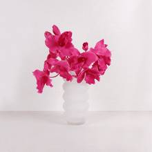 Cargar imagen en el visor de la galería, Orquídeas colombianas Hiperrealistas