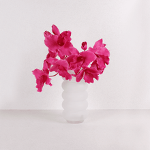Cargar imagen en el visor de la galería, Orquídeas colombianas Hiperrealistas