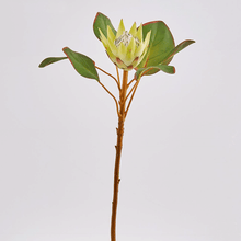 Cargar imagen en el visor de la galería, 214362,71