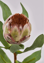 Cargar imagen en el visor de la galería, Protea Cerrada Hiperrealista