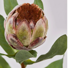 Cargar imagen en el visor de la galería, 214363,69