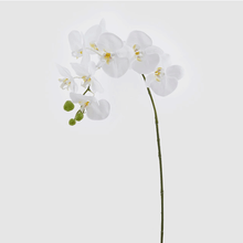 Cargar imagen en el visor de la galería, 214465,10b