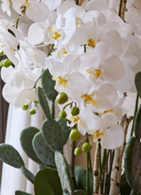 Cargar imagen en el visor de la galería, 214465,10e