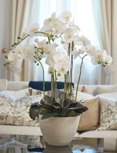 Cargar imagen en el visor de la galería, 214465,10h