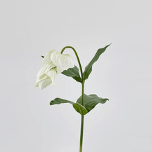 Cargar imagen en el visor de la galería, 214486,12