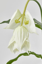 Cargar imagen en el visor de la galería, 214486,12a