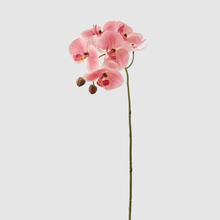 Cargar imagen en el visor de la galería, 214494,46