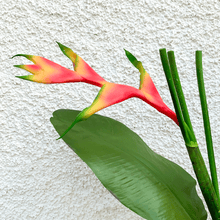 Cargar imagen en el visor de la galería, 214555,30