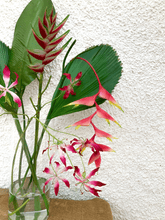 Cargar imagen en el visor de la galería, 214557,56