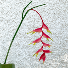 Cargar imagen en el visor de la galería, 214557,56a