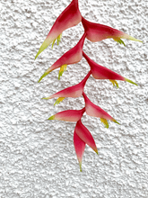 Cargar imagen en el visor de la galería, 214557,56f