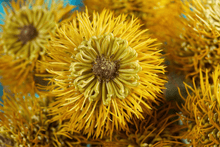 Cargar imagen en el visor de la galería, 214571,2c