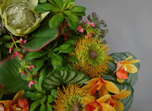 Cargar imagen en el visor de la galería, 214571,2f