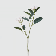 Cargar imagen en el visor de la galería, 214781,10