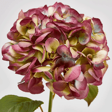 Cargar imagen en el visor de la galería, Hortensias Artificiales Tacto Real Varios colores