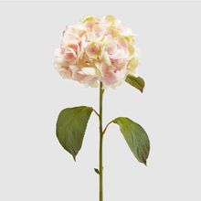 Cargar imagen en el visor de la galería, 214950,75