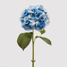 Cargar imagen en el visor de la galería, Hortensias Artificiales Tacto Real Varios colores