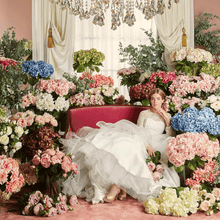 Cargar imagen en el visor de la galería, 214950,81d