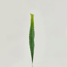 Cargar imagen en el visor de la galería, 230831,70