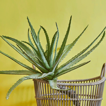 Cargar imagen en el visor de la galería, 231195,71