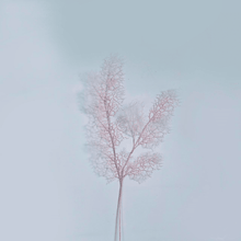 Cargar imagen en el visor de la galería, 231357,51